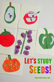 It's really easy to set up and even toddlers can participate. Kid Science Let S Study Seeds Science For Kids Science Activities Preschool Activities