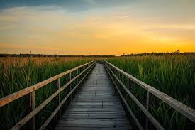 We hope you enjoy our growing collection of hd images to use as a background or home screen for your. Gambar Gratis Di Pixabay Matahari Terbenam Spring Lake Matahari Terbenam Pemandangan Danau