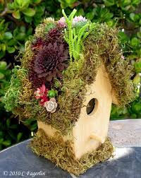 021010birdhouse1 Jpg Photo This Photo Was Uploaded By Peppercorn99 Find Other 021010birdhouse1 Jpg Pictures And Photos Bird Houses Fairy Garden Garden Decor