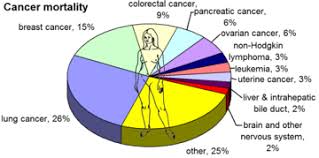According to the cancer research uk, cervical cancer is the 14th commonest type of cancer in women in the uk, with a total of 3100 cases in 2017 and your ovaries are also responsible for producing female hormones oestrogen and progesterone. Epidemiology Of Cancer Wikipedia
