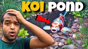 My JAPANESE KOI POND After Rain 🌧🤯