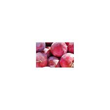 Image result for prunus domestica renkloda althana