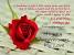 Wife Wedding Anniversary Quotes