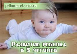 что должен уметь ребенок в 2 года 7 месяцев Razvitie Rebenka V 5 Mesyacev Detskie Pelenki Rebenok Prikorm Rebenok