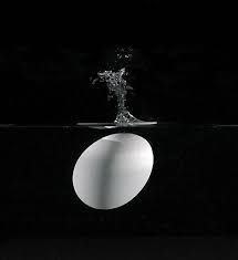 Black And White Art Photography Egg Drop Egg Drop Food Art Photography Egg Art