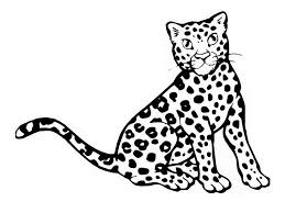 Print out animal pages/information sheets to color. Cheetah Coloring Pages 100 Pictures Free Printable