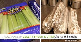 How To Keep Celery Fresh For Up To 3 Weeks Longer Fabulessly Frugal