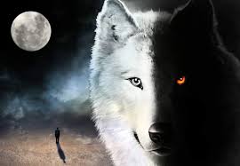 Black And White Wolf Tattoo With Blue Eyes Two Wolves Native American Legend Fantasy Wolf Native American Wolf Wolf Wallpaper