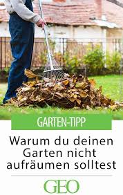 Garten Winterfest Machen So Helfen Sie Tieren Mit Bildern Garten Winterfest Machen Gartentipps
