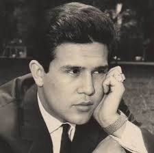 Radio Mirador Araucania