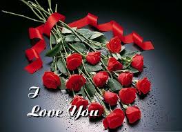 We did not find results for: 34 Amazing Red Rose Love Quotes Godfather Style