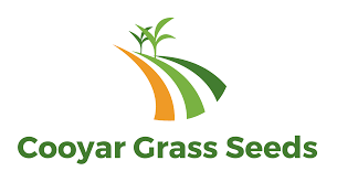 Visit our website to find the perfect grass seed for your lawn! Cooyar Grass Seeds For Sale The Online Home For Your Grass Seeds