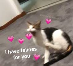 Kinkybutwholesome Cute Love Memes Cute Memes Cheesy Memes