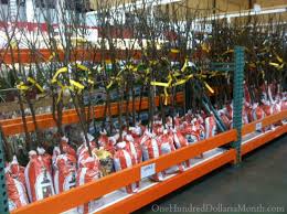 Costco is known for having a very generous returns policy. 6 Reasons Why I Love The Costco Return Policy One Hundred Dollars A Month