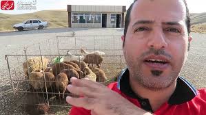 أورخان إيلدار عباسلي