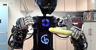 Korean Robot Will Toss Your Salad Robot Household Robots Military Robot