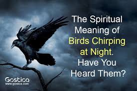 Birds Chirping In The Morning Spiritual Meaning The Spiritual Meaning Of Birds Chirping At Night Have You Heard Them Spiritual Meaning Spirituality Night Meaning