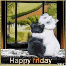 Hugging Animals Happy Friday Animal Friday Happy Friday Friday Quotes And Sayings Friday Gifs Happy Friday Happy Friday Gif Happy Friday Pictures