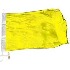 Quarantine flag. noun Nautical. A yellow flag, designating the letter Q in the International Code of Signals: flown by itself to signify that a ship has no disease on board and requests