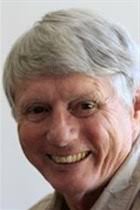 Looting in the name of Mandela