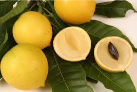 Abiu is cultivated throughout the tropical belt, but is more common in south america. 6 Unknown Health Benefits Of Abiu Fruit Nutrients Sources Drhealthbenefits Com