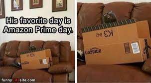 When amazon decided to kick its original programming into high gear, they first turned to comedies. Amazon Prime Day