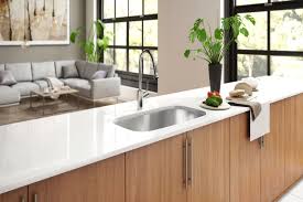 the everything sink completehome