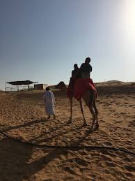 Al lisaili is a desert settlement in the emirate of dubai, united arab emirates (uae) and a centre for the sport of camel racing. Al Lisaili Gypsy