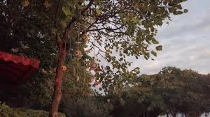 Maybe you would like to learn more about one of these? Protect Against Evil Eye Stock Video Footage 4k And Hd Video Clips Shutterstock