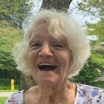 Lois Ann VanBuskirk Obituary