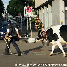 CH-4058 Basel: Alpaufzug