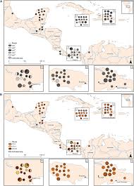 Image result for Chrysophyllum bangweolense