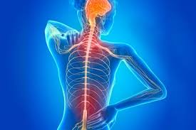 La esclerosis múltiple es una enfermedad neurológica y degenerativa cuya causa es la desmielinización. Todo Sobre La Esclerosis Multiple La Enfermedad Degenerativa Del Sistema Nervioso