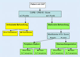 For detailed information about match click into score link. Pneumonie Erregerbasierte Oder Konstellationsbasierte Therapie Springerlink