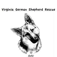 Is a german shepherd puppy a good first dog? Please Share For Odin Virginia German Shepherd Rescue Facebook