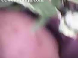 The latest tweets from @videomesumbaru Bokep Smp Xxx Videos Part 2 Pornoxo Tube