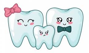 Find the perfect tooth cartoon stock photo. Baby Teeth
