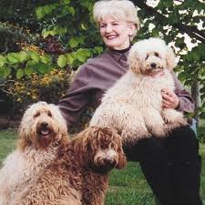 Amazon.com: The Complete Australian Cobberdog And Australian Labradoodle: A  History And Handbook eBook : Rutland-Manners, Beverley, Nelson, Julie,  Rutland-Manners, Beverley, Smith Esq, Thomas: Kindle Store