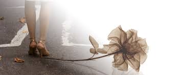 Image result for bến thuyền xuan images