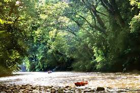 We are planning on heading to taman negara from kl in november. Kuala Lumpur Taman Negara Perhentian Island