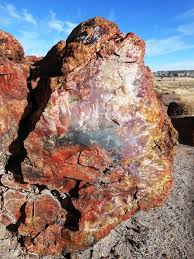 Petrified Wood Petrified Forest National Park 12 29 12 Petrified Forest National Park Petrified Forest National Parks