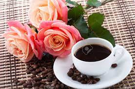 Coffee and books i love coffee coffee break my coffee morning coffee coffee flower flower tea coffee cafe coffee shop. Flowers And Coffee Stock Photo Picture And Royalty Free Image Image 17514799