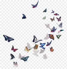 Download png image you need and share it via sns. Butterflies Halsey Halsey World Tour 2018 Png Image With Transparent Background Toppng