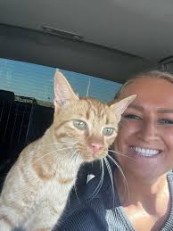 Adopted cat from animal shelter