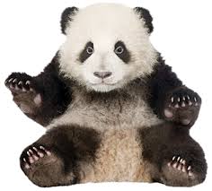 Interesting animal facts for kids. National Geographic Kids Animal Facts