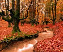 3d Autumn Nature Hd Forest Landscape Desktop Wallpaper Fall Landscape Wallpaper