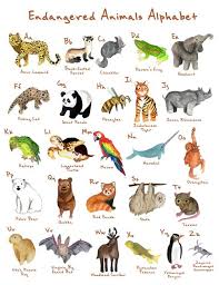 Endangered Animals Abcs Etsy In 2020 Animal Illustration Kids Endangered Animals Animal Illustration