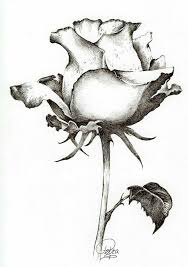 Visualizza altre idee su fiori disegnati a matita, disegni, disegno fiori. Disegni Fiori Realistici Coloring And Drawing