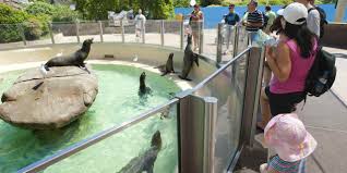 Maybe you would like to learn more about one of these? California Attractions For Younger Kids Visit California