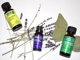 Thursday plantation 100% pure eucalyptus oil is a pharmaceutical grade oil with a wide range of personal and household uses. Review Essential Oils By Thursday Plantation Moms Makeup Stash